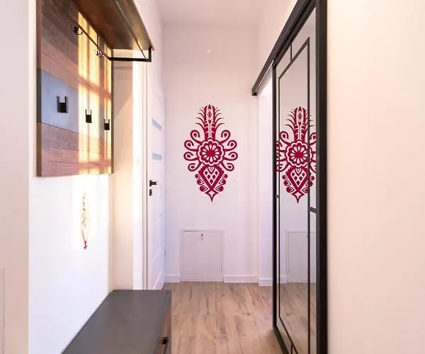 Lisciasty 1 Z Tarasem - Dream אוסטראון